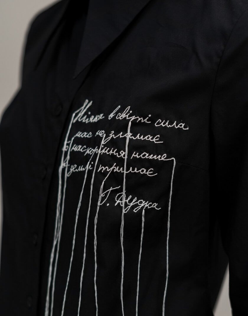 Сорочка з вишивкою приталена SE_SE23ShGunneEm_B, фото 1 - в интернет магазине KAPSULA