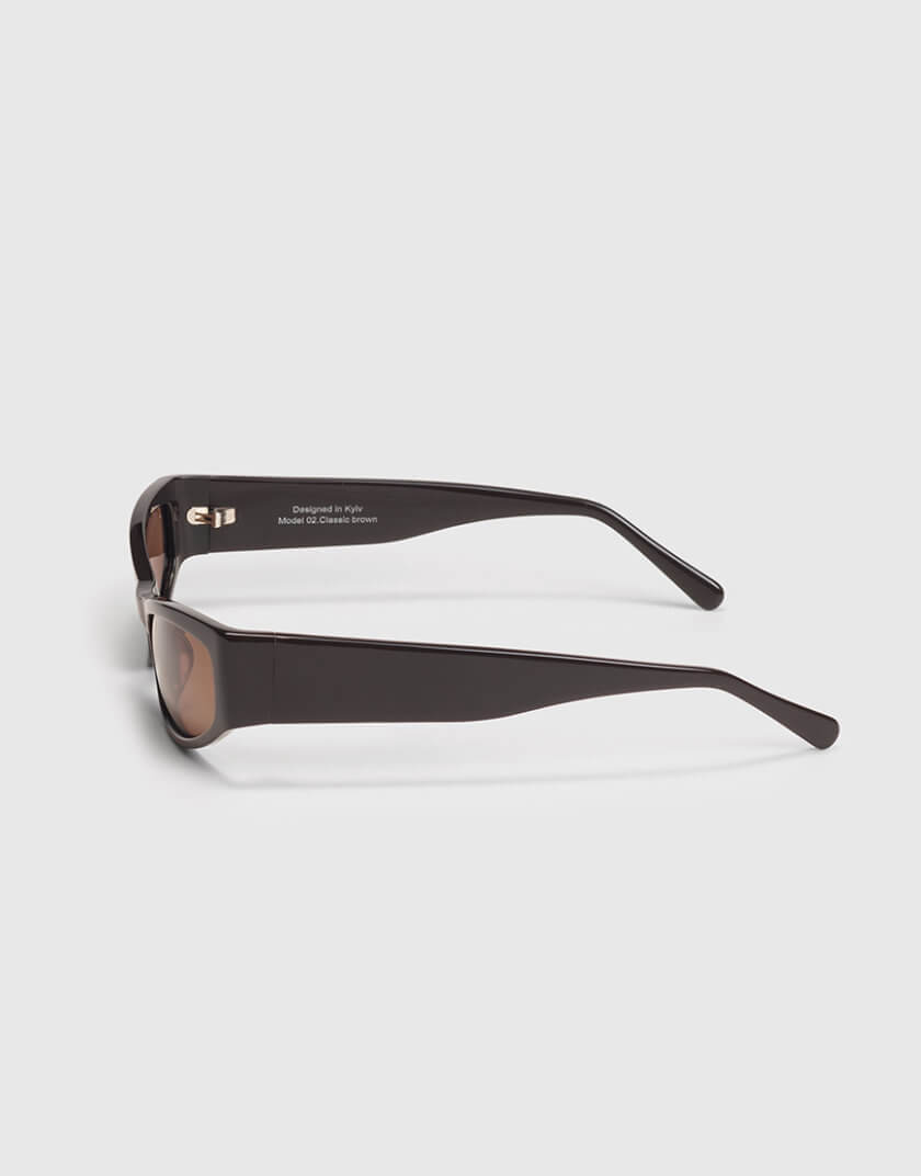 Коричневі сонцезахисні окуляри STWR_MOD_0206, фото 1 - в интернет магазине KAPSULA