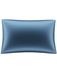 Наволочка з 100% шовку Mulberry блакитна MLD_pillowcase_1, фото 1 - в интернет магазине KAPSULA