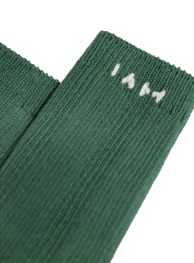 Бавовняні шкарпетки Dzvinka IAM (IM_CTTN/SCKS/DZVNK)